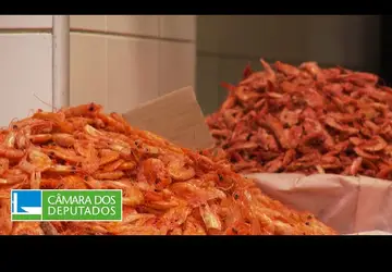 Brasil precisa retomar produção de camarão para exportação, defendem debatedores