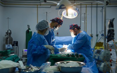Hospital Ferreira Machado registra novas captações de órgãos